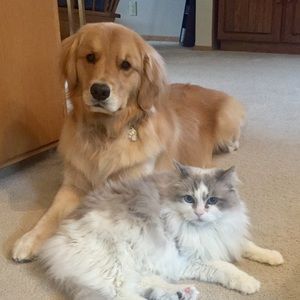 Meet your Posher, Michele